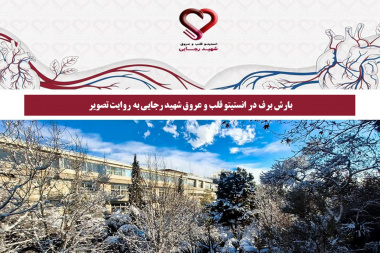 بارش برف در انستیتو قلب و عروق شهید رجایی به روایت تصویر